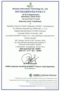 cmmi.png